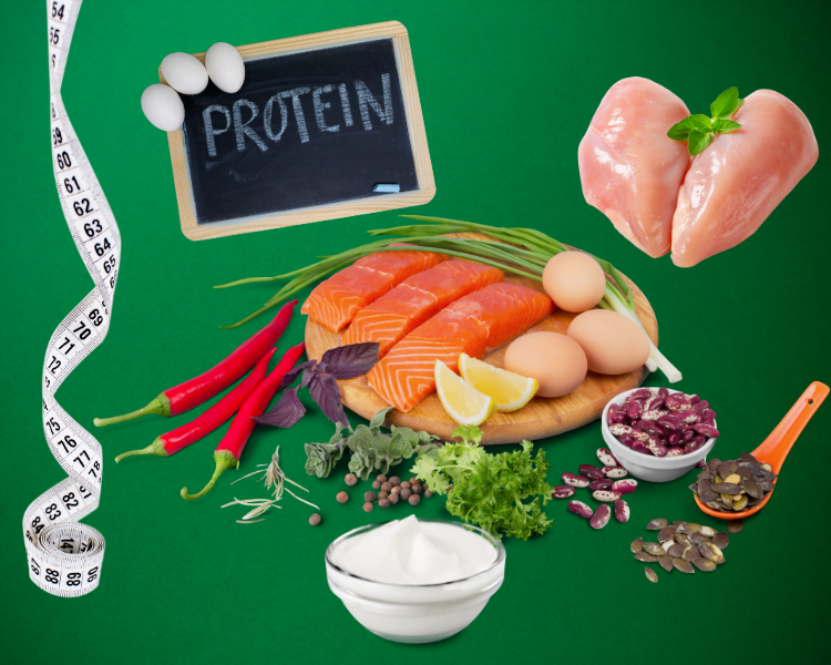 protein for fast weight loss